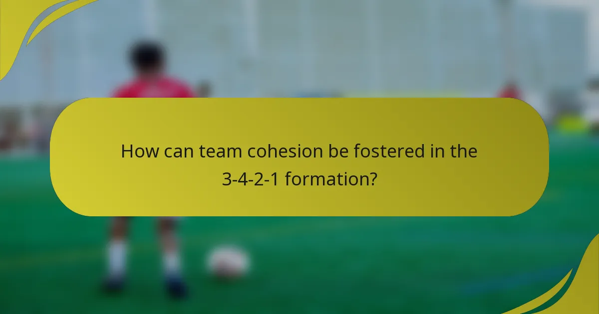 How can team cohesion be fostered in the 3-4-2-1 formation?